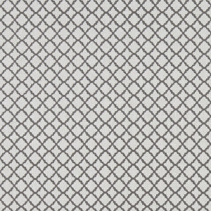 Ariyana Charcoal by Clarke And Clarke Designer Fabric