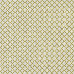 Ariyana Chartreuse by Clarke And Clarke Designer Fabric