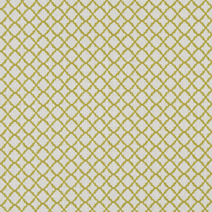 Ariyana Chartreuse by Clarke And Clarke Designer Fabric CLARKE & CLARKE PRINCE OF PERSIA COTTON - 61%;POLYESTER - 24%;VISCOSE - 15% India Horizontal: 1.625 and Vertical: 1.625 50.5 - Swanky Fabrics -