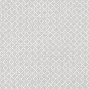 Ariyana Ivory by Clarke And Clarke Designer Fabric