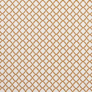 Ariyana Spice by Clarke And Clarke Designer Fabric