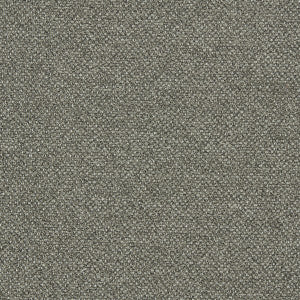 Filum Earth by Clarke And Clarke Designer Fabric
