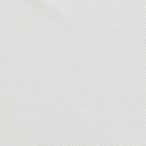 Filum Polar by Clarke And Clarke Designer Fabric