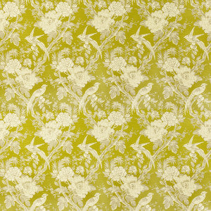 Avium Chartreuse by Clarke And Clarke Designer Fabric