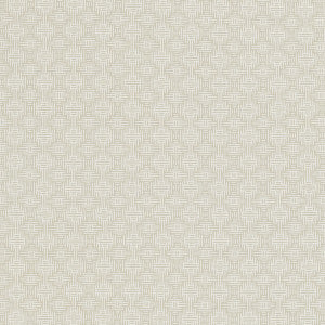 Aztec Ivory by Clarke And Clarke Designer Fabric