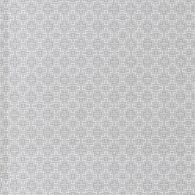 Aztec Silver by Clarke And Clarke Fabric Clarke And Clarke Fabric Aztec SilverFabric CLARKE & CLARKE ORIGINS COTTON - 100% India </p><p>Repeat: H: 1.5, V: 1.7 55 - Fabric Carolina -