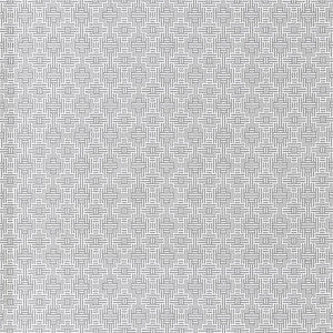 Aztec Silver by Clarke And Clarke Designer Fabric