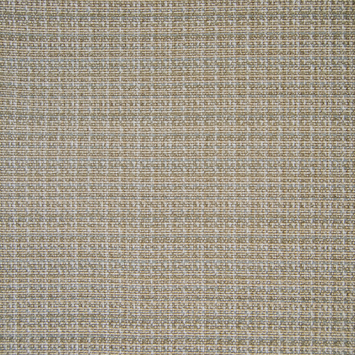 F1441 Flax by Greenhouse Designer Fabric 100% Polyester China 90,000 </p><p>Repeat: None 54" - Swanky Fabrics -