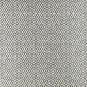 Mono Charcoal by Clarke And Clarke Designer Fabric