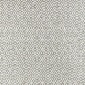 Mono Silver by Clarke And Clarke Designer Fabric