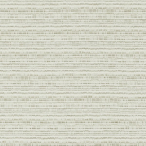 Ramie Ivory by Clarke And Clarke Designer Fabric