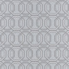 Repeat Charcoal by Clarke And Clarke Designer Fabric