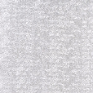 Solitaire Silver by Clarke And Clarke Designer Fabric