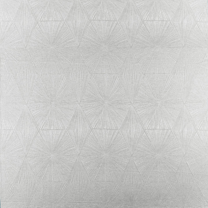 Blaize Pewter by Clarke And Clarke Fabric Clarke And Clarke Fabric Blaize PewterFabric CLARKE & CLARKE GEOMO POLYESTER - 92%;COTTON - 8% India </p><p>Repeat: H: 13.5, V: 26.78 54 - Fabric Carolina -