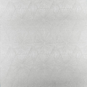 Blaize Pewter by Clarke And Clarke Designer Fabric