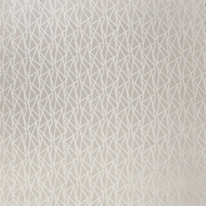 Geomo Taupe by Clarke And Clarke Designer Fabric