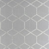 Forma Charcoal/Silver by Clarke And Clarke Designer Fabric