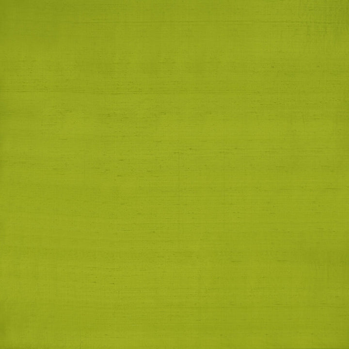 Slyph Lime by Clarke And Clarke Designer Fabric WILDERIE BY EMMA J SHIPLEY FOR C&C SILK - 100% India Horizontal: 0 and Vertical: 0 54 - Swanky Fabrics -