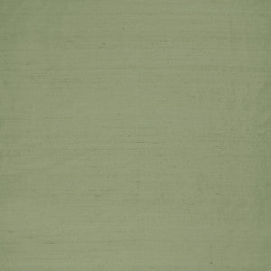 Slyph Pistachio by Clarke And Clarke Designer Fabric