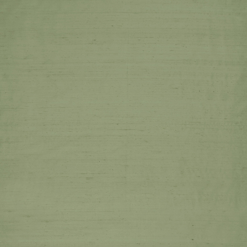 Slyph Pistachio by Clarke And Clarke Fabric Clarke And Clarke Fabric Slyph PistachioFabric WILDERIE BY EMMA J SHIPLEY FOR C&C SILK - 100% India </p><p>Repeat: H: 0, V: 0 54 - Fabric Carolina -