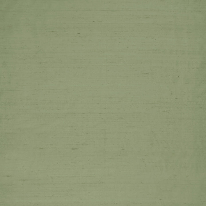 Slyph Pistachio by Clarke And Clarke Designer Fabric WILDERIE BY EMMA J SHIPLEY FOR C&C SILK - 100% India Horizontal: 0 and Vertical: 0 54 - Swanky Fabrics -