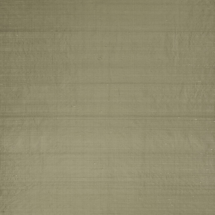 Slyph Tan by Clarke And Clarke Designer Fabric WILDERIE BY EMMA J SHIPLEY FOR C&C SILK - 100% India Horizontal: 0 and Vertical: 0 54 - Swanky Fabrics -