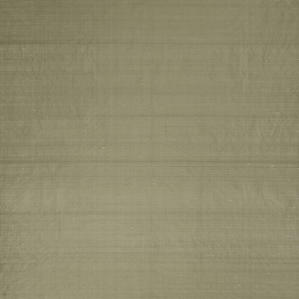 Slyph Tan by Clarke And Clarke Fabric Clarke And Clarke Fabric Slyph TanFabric WILDERIE BY EMMA J SHIPLEY FOR C&C SILK - 100% India </p><p>Repeat: H: 0, V: 0 54 - Fabric Carolina -