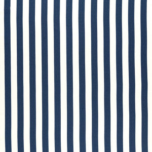 Portland Navy by Clarke And Clarke Designer Fabric