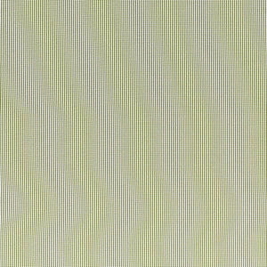 Windsor Sage by Clarke And Clarke Designer Fabric