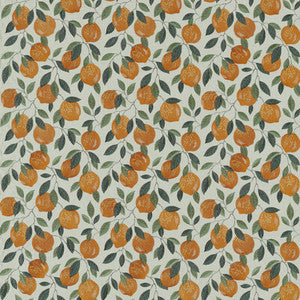 Sicilian Orange by Clarke And Clarke Designer Fabric