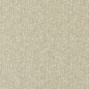 Tierra Antique by Clarke And Clarke Designer Fabric