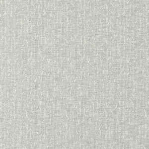 Tierra Pewter by Clarke And Clarke Designer Fabric