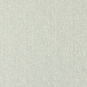Tierra Silver by Clarke And Clarke Designer Fabric