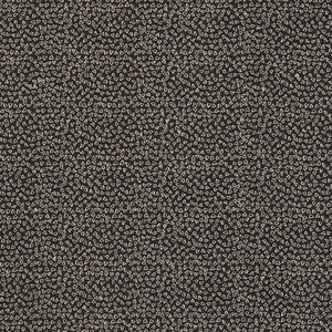 Ricamo Nero by Clarke And Clarke Designer Fabric