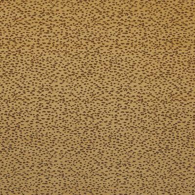 F1564/02.CAC.0 by Clarke And Clarke Fabric Clarke And Clarke Fabric F1564/02.CAC.0Fabric CLARKE & CLARKE ILLUSION POLYESTER - 100% China </p><p>Repeat: H: 14, V: 12.2 55.9 - Fabric Carolina -