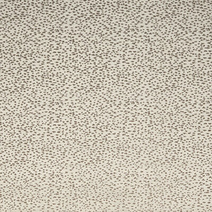 Astral Stone by Clarke And Clarke Designer Fabric
