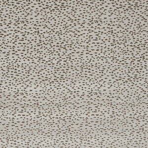 Astral Taupe by Clarke And Clarke Designer Fabric
