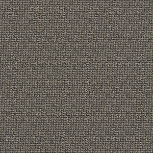 Malone Charcoal by Clarke And Clarke Designer Fabric