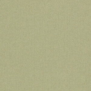 Rowland Olive by Clarke And Clarke Designer Fabric