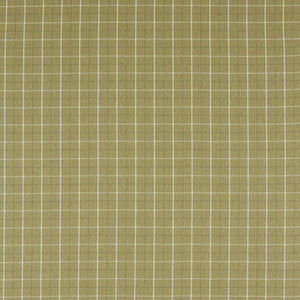 Thornton Olive by Clarke And Clarke Designer Fabric