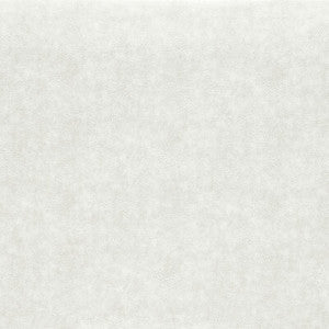 Dawson Pearl F1598/13.CAC.0 By Clarke And Clarke Designer Fabric
