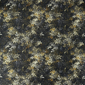 Congo Noir Velvet by Clarke And Clarke Designer Fabric