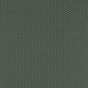 Equator Forest F1618/01.CAC.0 By Clarke And Clarke Designer Fabric