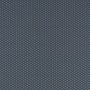 Equator Midnight F1618/02.CAC.0 By Clarke And Clarke Designer Fabric