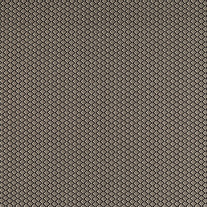 Equator Noir F1618/04.CAC.0 By Clarke And Clarke Designer Fabric