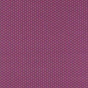 Equator Raspberry F1618/05.CAC.0 By Clarke And Clarke Designer Fabric
