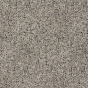 Orion Noir F1619/04.CAC.0 By Clarke And Clarke Designer Fabric