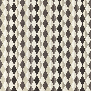 Denver Monochrome F1637/02.CAC.0 By Clarke And Clarke Designer Fabric