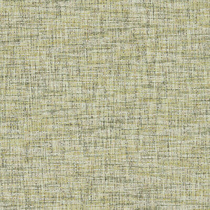 Cetara Spring F1642/17.CAC.0 By Clarke And Clarke Designer Fabric
