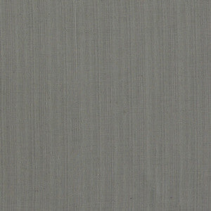 Remo Charcoal F1665/02.CAC.0 By Clarke And Clarke Designer Fabric